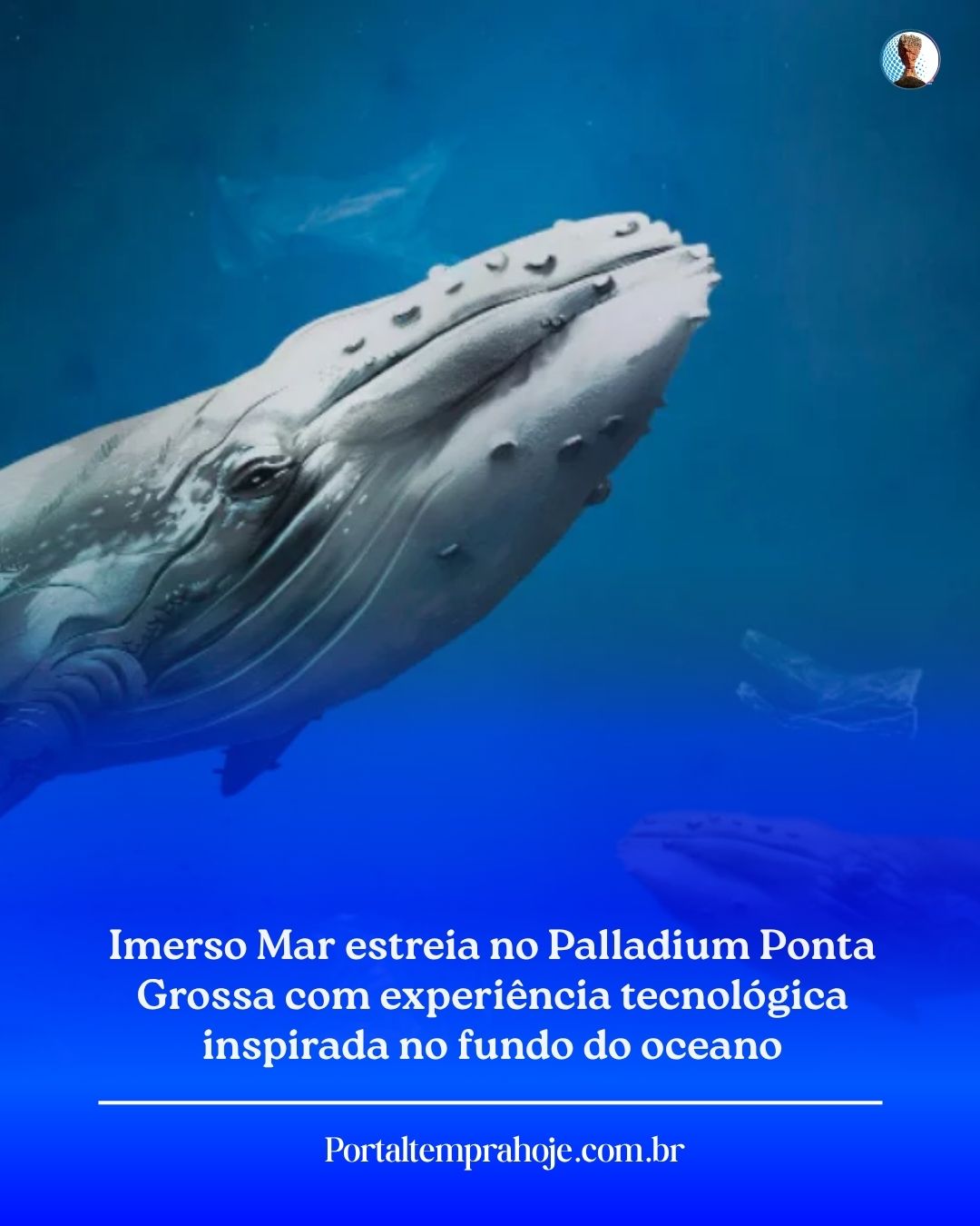 Imerso Mar estreia no Palladium Ponta Grossa com experiência tecnológica inspirada no fundo do oceano