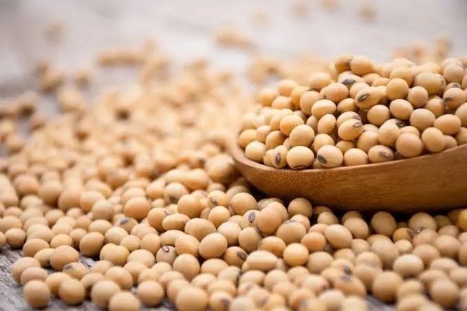 Soja pode subir no segundo semestre com ameaça do El Niño à safra brasileira