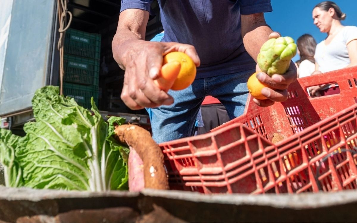 Câmara aprova em primeira discussão projeto que cria Centro Integrado de Segurança Alimentar e Nutricional em Ponta Grossa