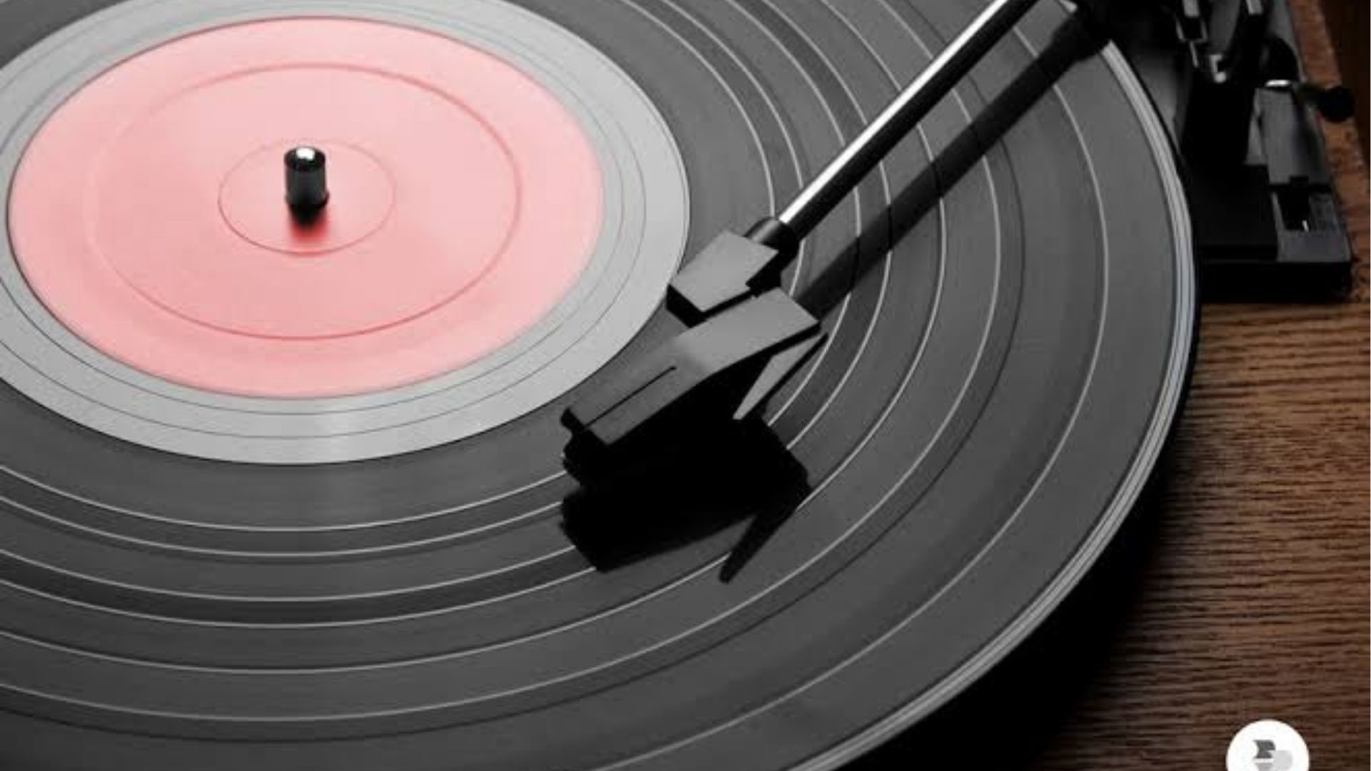 Feira de Vinil retorna a Ponta Grossa com mais de 4 mil discos nos dias 5 e 6 de setembro