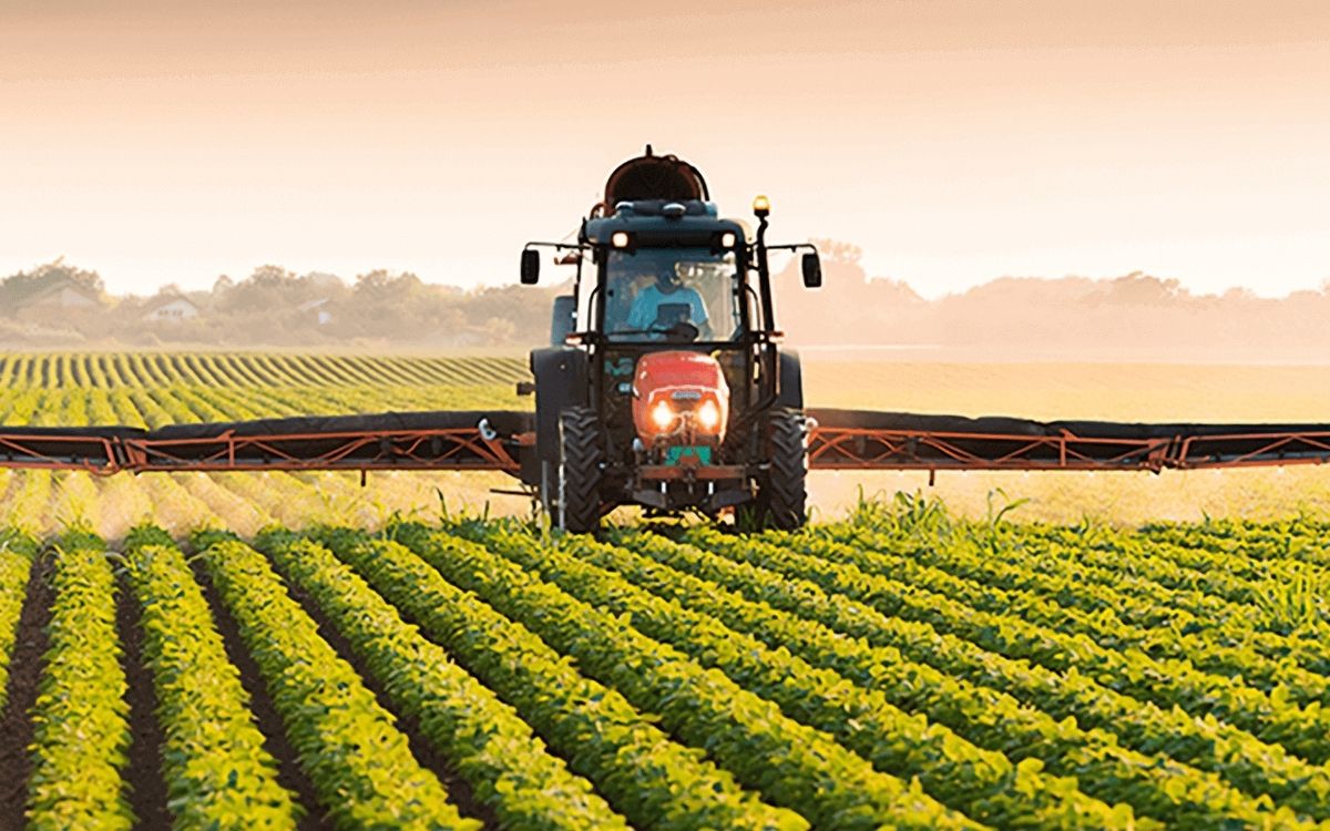Valor da produção agrícola atinge recorde de R$ 927,2 bilhões em 2025, aponta IBGE