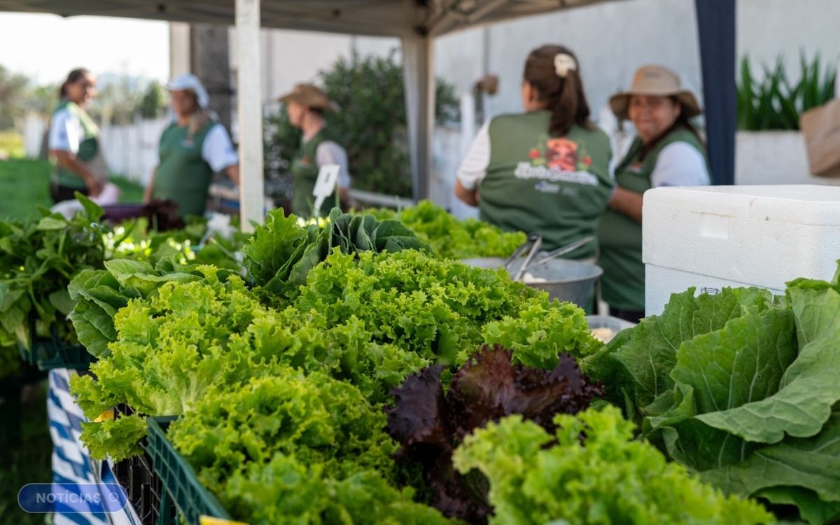 Prefeitura abre inscrições para agricultores familiares e entidades receberem alimentos em Ponta Grossa