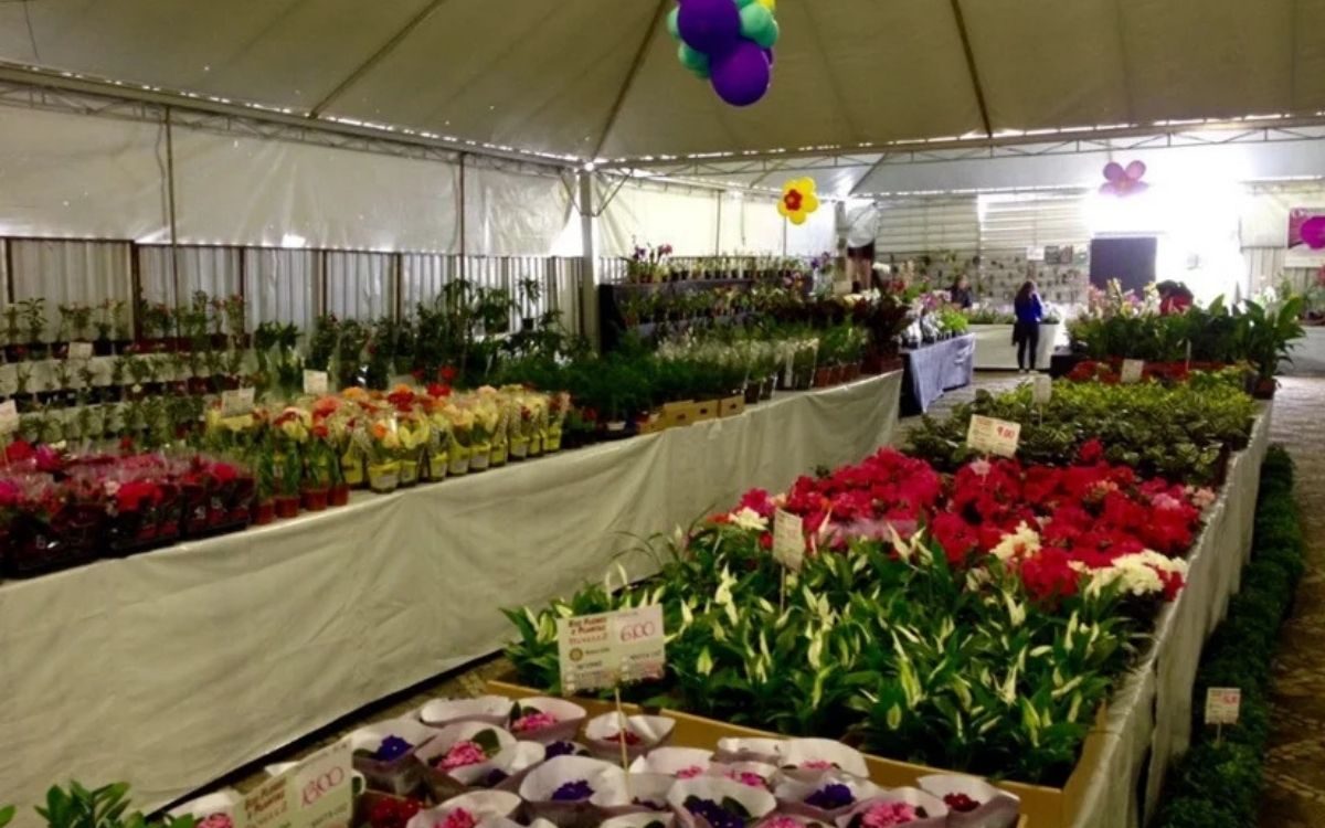 15ª Expo&Flor abre nesta sexta-feira com 250 espécies de flores e programação especial de aniversário