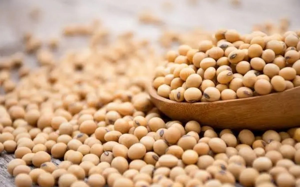 Soja pode subir no segundo semestre com ameaça do El Niño à safra brasileira